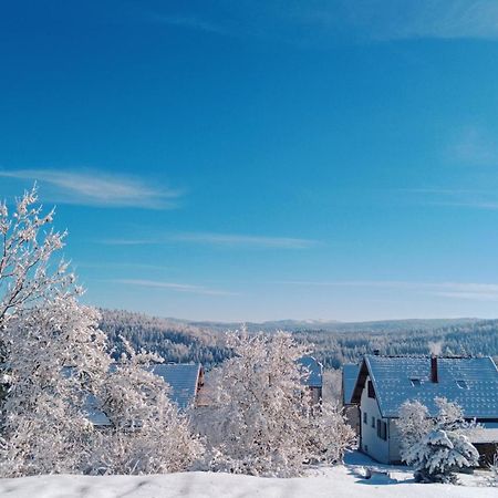 Gite Des Roches La Chaux-du-Dombief エクステリア 写真