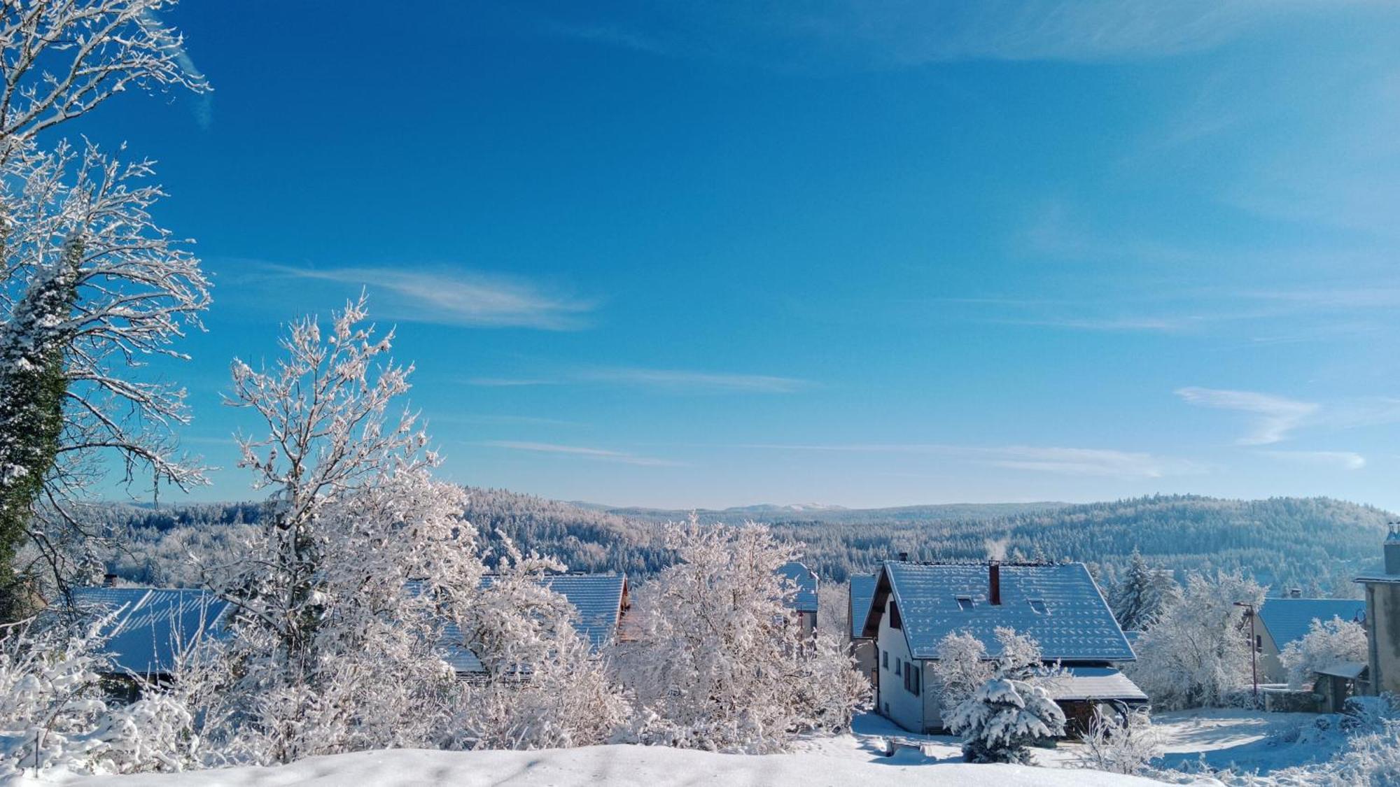 Gite Des Roches La Chaux-du-Dombief エクステリア 写真